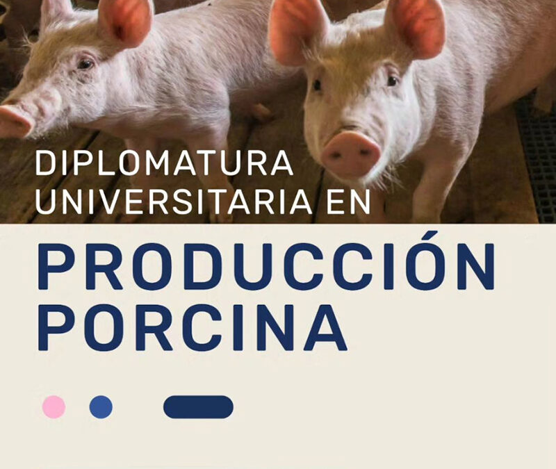 Llega la quinta edición de la Diplomatura Universitaria en Producción Producción Porcina