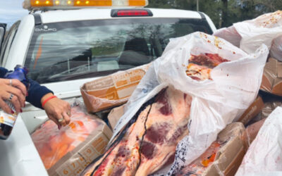 Departamento Colón: decomiso de 370kg de carne