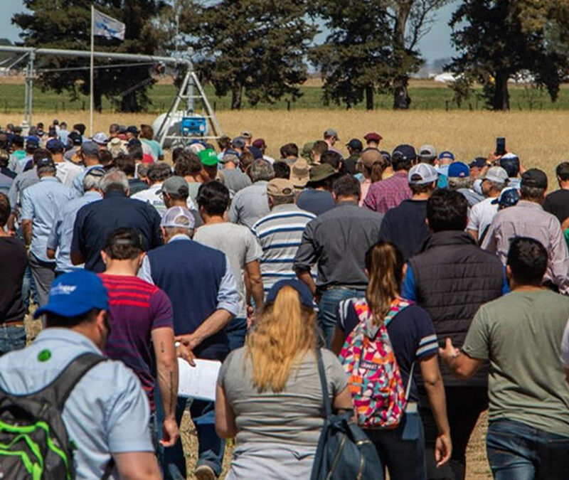 Del laboratorio al campo: INTA Manfredi mostrará el futuro del riego en funcionamiento.14 y 15 de octubre en el INTA Manfredi