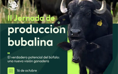 Llega la II Jornada de Producción Bubalina. Se realizará el 16 de octubre de 2025 desde las 8:30 en el Auditorio de la Reforma