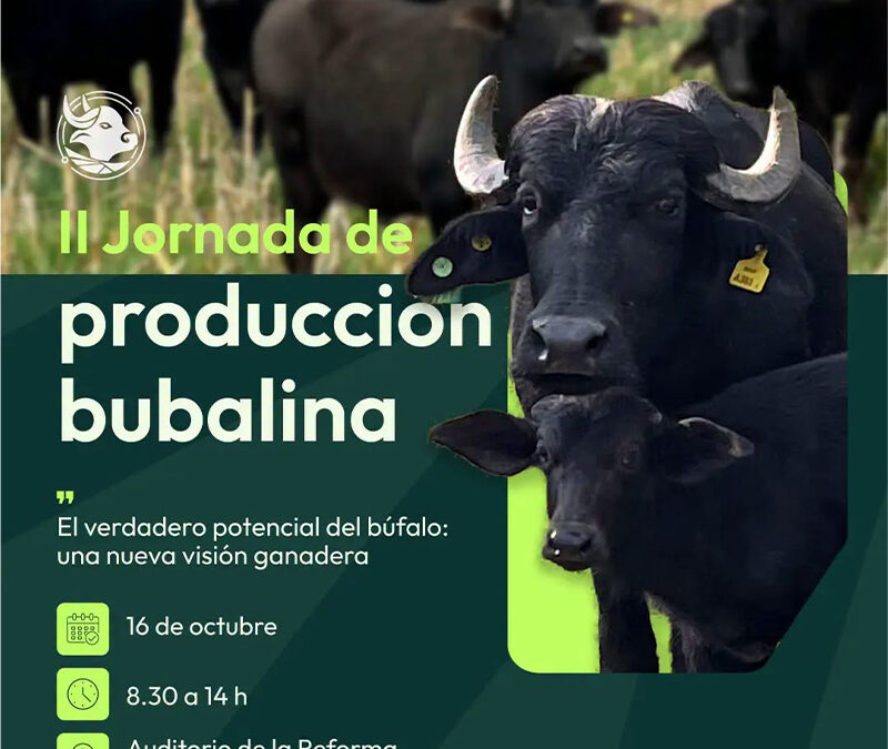 Llega la II Jornada de Producción Bubalina. Se realizará el 16 de octubre de 2025 desde las 8:30 en el Auditorio de la Reforma