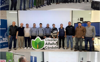 Con nuevas autoridades, el CLÚSTER DE ALFALFA CÓRDOBA abre una nueva etapa con foco en innovación, industrialización y nuevos negocios.