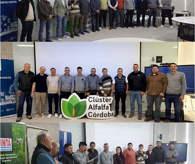 Con nuevas autoridades, el CLÚSTER DE ALFALFA CÓRDOBA abre una nueva etapa con foco en innovación, industrialización y nuevos negocios.
