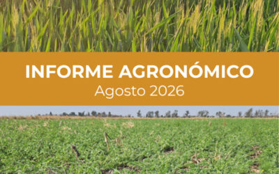 La Pampa. La campaña invernal avanza con optimismo, atenta a las lluvias de primavera y heladas tardías